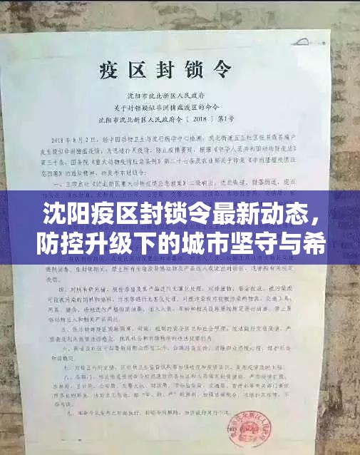 沈阳疫区封锁令最新动态，防控升级下的城市坚守与希望
