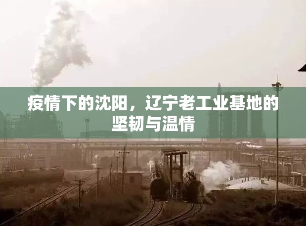 疫情下的沈阳，辽宁老工业基地的坚韧与温情