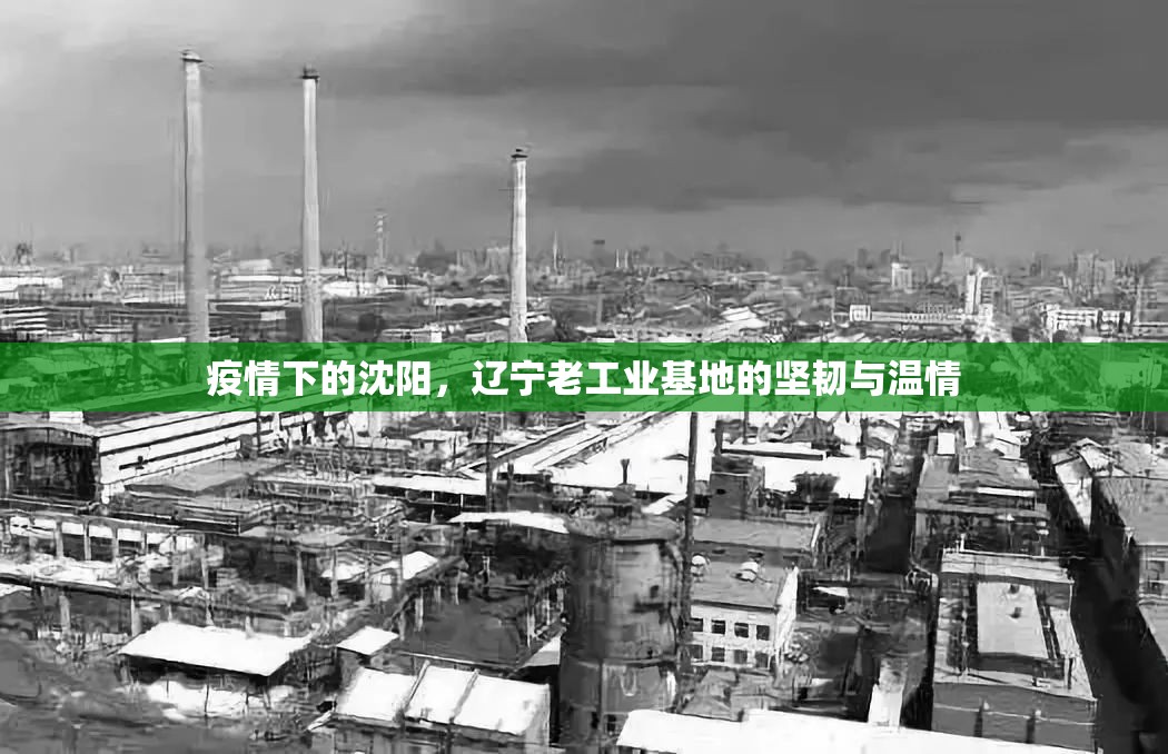 疫情下的沈阳，辽宁老工业基地的坚韧与温情