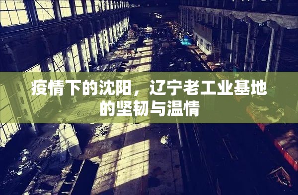 疫情下的沈阳，辽宁老工业基地的坚韧与温情
