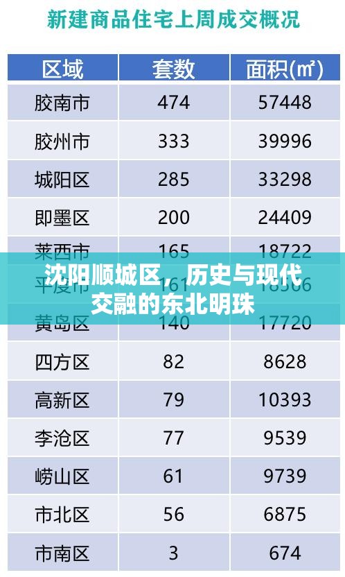 沈阳顺城区，历史与现代交融的东北明珠