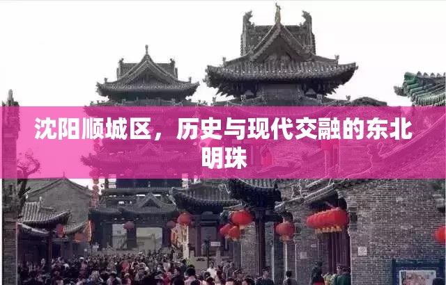 沈阳顺城区，历史与现代交融的东北明珠