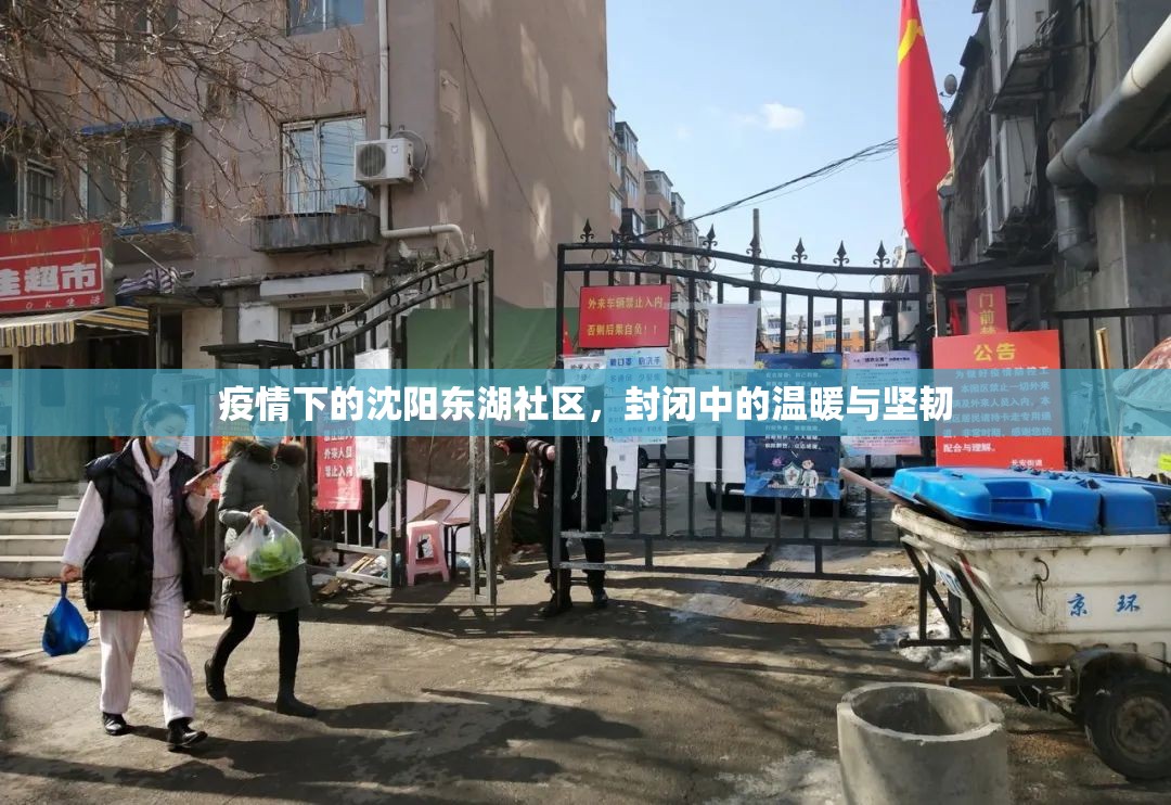 疫情下的沈阳东湖社区，封闭中的温暖与坚韧