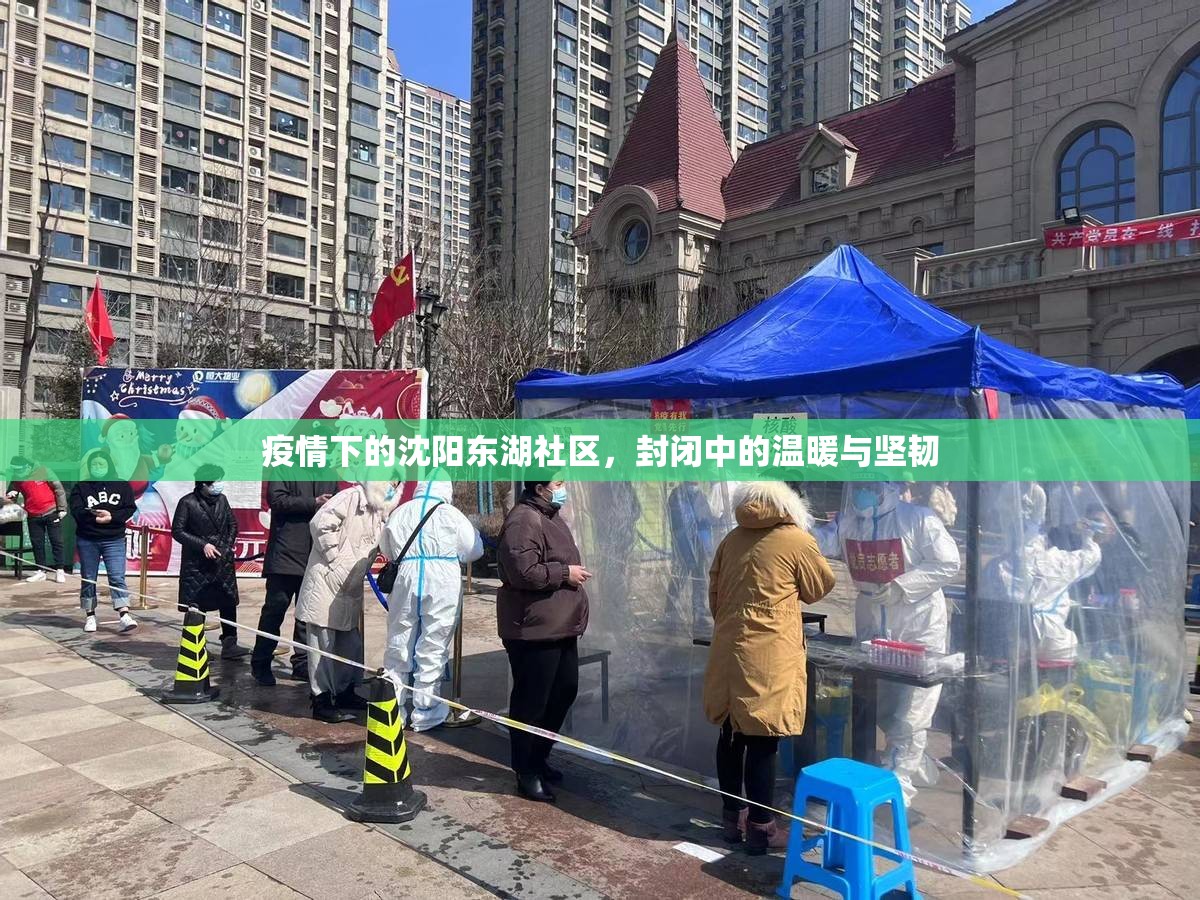 疫情下的沈阳东湖社区，封闭中的温暖与坚韧