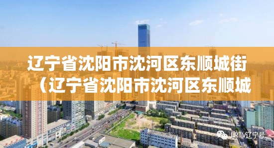 辽宁省沈阳市沈河区东顺城街（辽宁省沈阳市沈河区东顺城街142号(1-4-1)