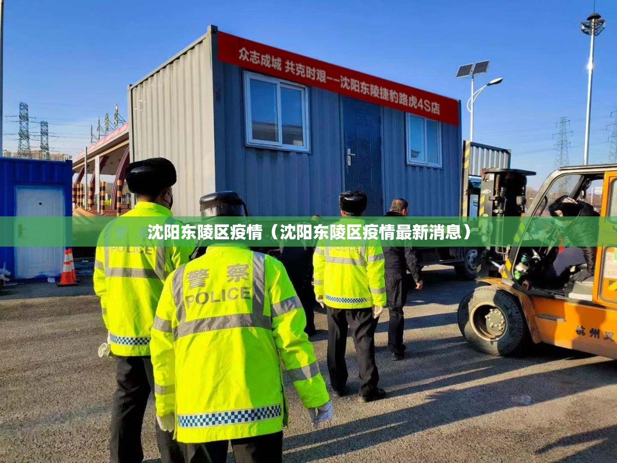 沈阳东陵区疫情（沈阳东陵区疫情最新消息）