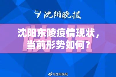 沈阳东陵疫情现状，当前形势如何？