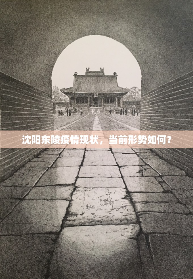 沈阳东陵疫情现状，当前形势如何？