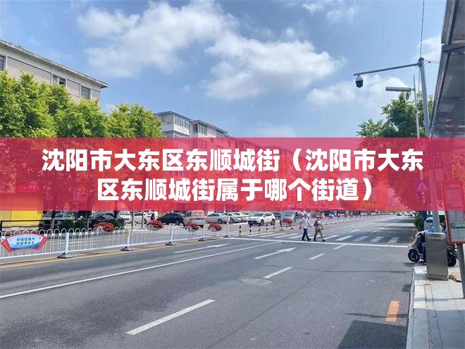 沈阳市大东区东顺城街（沈阳市大东区东顺城街属于哪个街道）