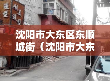 沈阳市大东区东顺城街（沈阳市大东区东顺城街属于哪个街道）