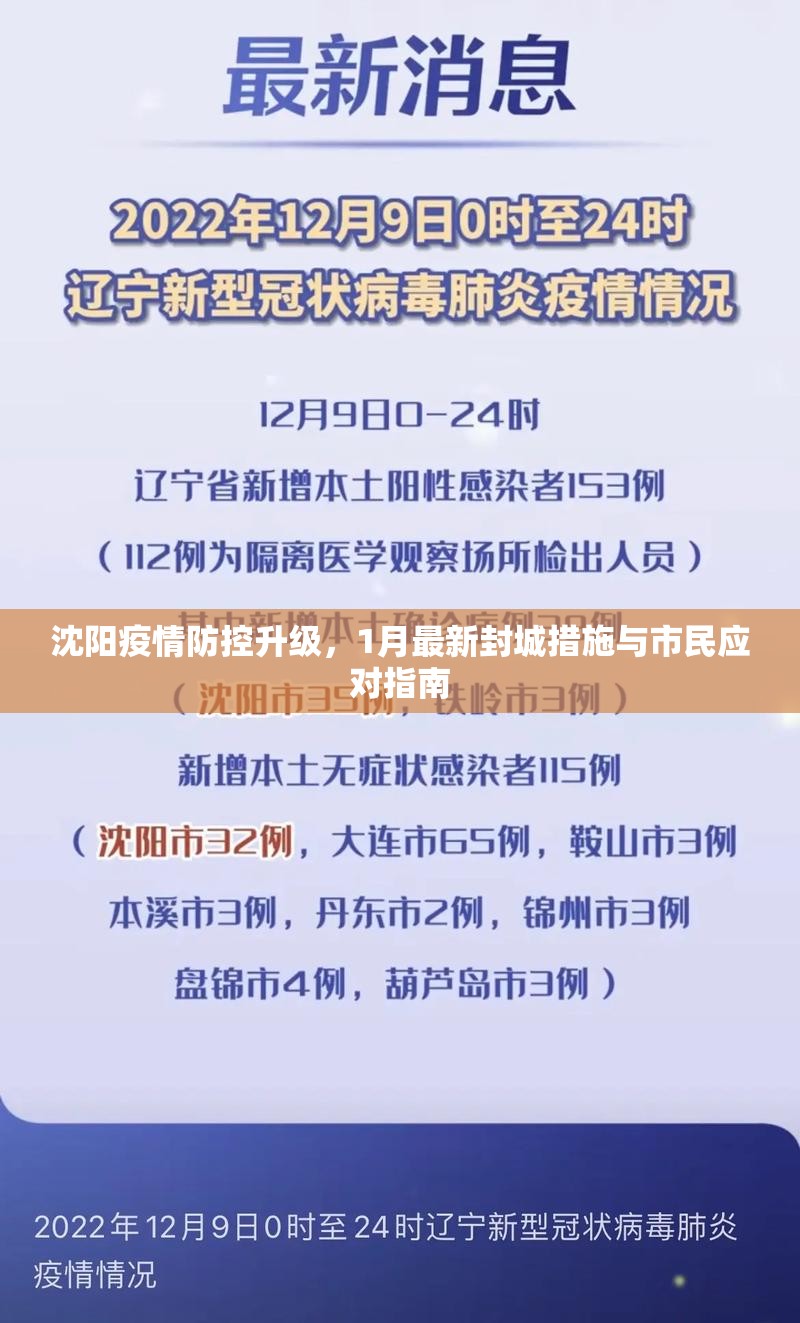 沈阳疫情防控升级，1月最新封城措施与市民应对指南