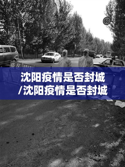 沈阳疫情是否封城/沈阳疫情是否封城了