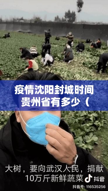 疫情沈阳封城时间 贵州省有多少（辽宁沈阳疫情封城了吗）