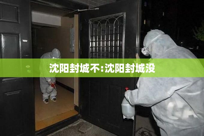 沈阳封城不:沈阳封城没