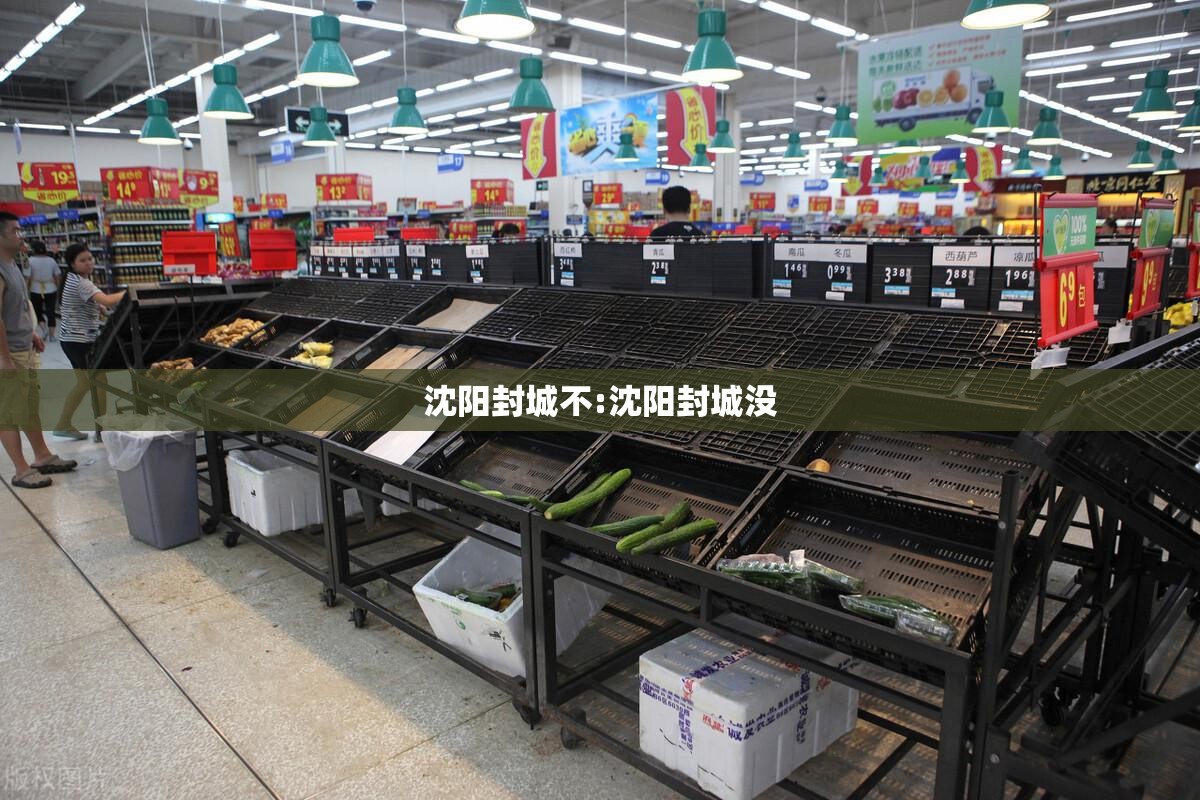 沈阳封城不:沈阳封城没
