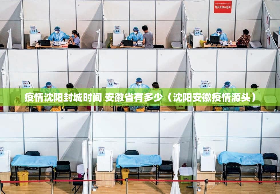 疫情沈阳封城时间 安徽省有多少（沈阳安徽疫情源头）