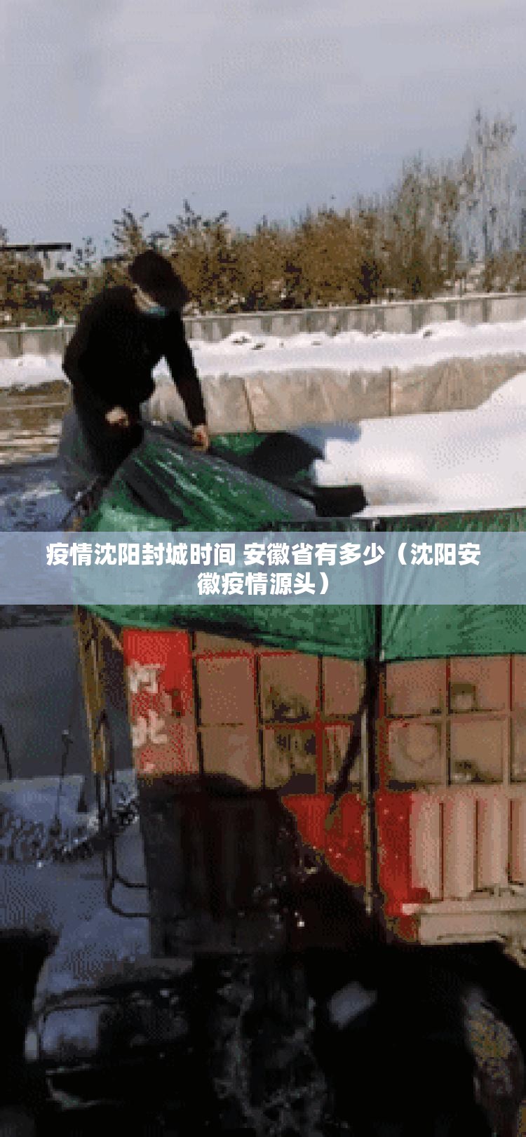 疫情沈阳封城时间 安徽省有多少（沈阳安徽疫情源头）
