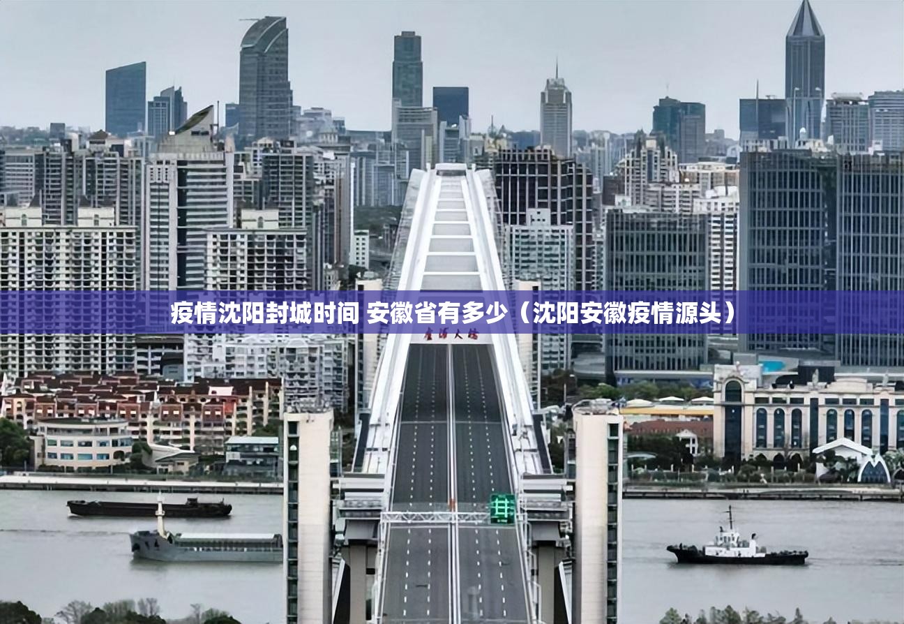疫情沈阳封城时间 安徽省有多少（沈阳安徽疫情源头）