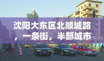 沈阳大东区北顺城路，一条街，半部城市记忆