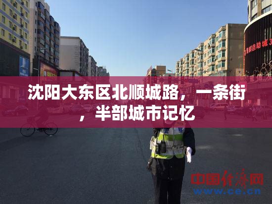 沈阳大东区北顺城路，一条街，半部城市记忆