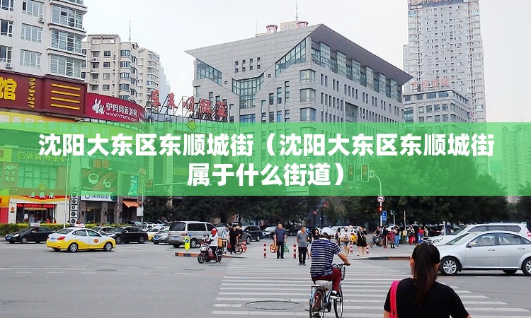 沈阳大东区东顺城街（沈阳大东区东顺城街属于什么街道）