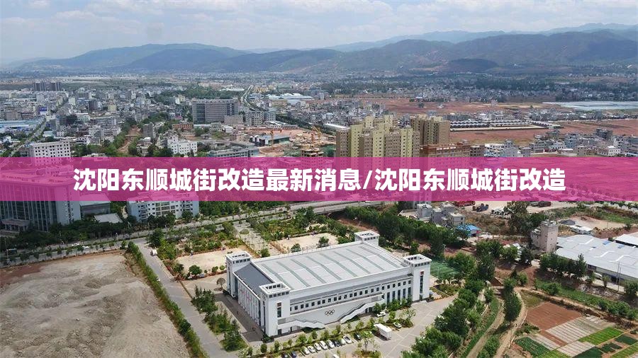 沈阳东顺城街改造最新消息/沈阳东顺城街改造