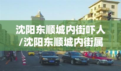 沈阳东顺城内街吓人/沈阳东顺城内街属于什么街道