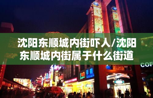 沈阳东顺城内街吓人/沈阳东顺城内街属于什么街道