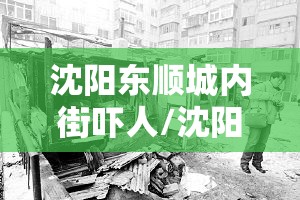 沈阳东顺城内街吓人/沈阳东顺城内街属于什么街道