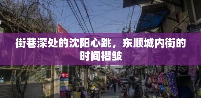 街巷深处的沈阳心跳，东顺城内街的时间褶皱