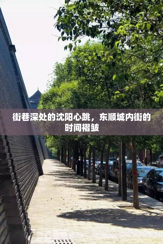街巷深处的沈阳心跳，东顺城内街的时间褶皱