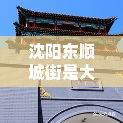 沈阳东顺城街是大东区还是沈河区/沈阳东顺城街是大东区还是沈河区啊