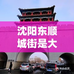沈阳东顺城街是大东区还是沈河区/沈阳东顺城街是大东区还是沈河区啊