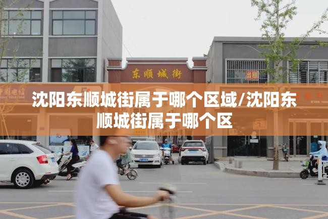 沈阳东顺城街属于哪个区域/沈阳东顺城街属于哪个区