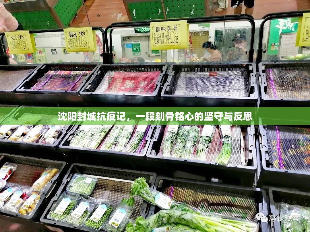 沈阳封城抗疫记，一段刻骨铭心的坚守与反思