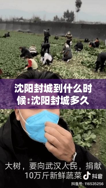 沈阳封城到什么时候:沈阳封城多久