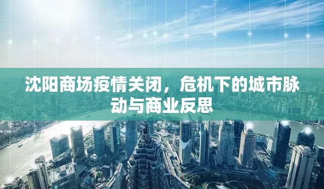 沈阳商场疫情关闭，危机下的城市脉动与商业反思