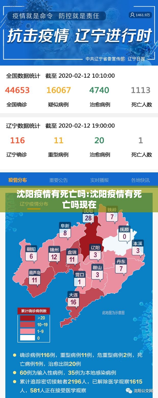 沈阳疫情有死亡吗:沈阳疫情有死亡吗现在
