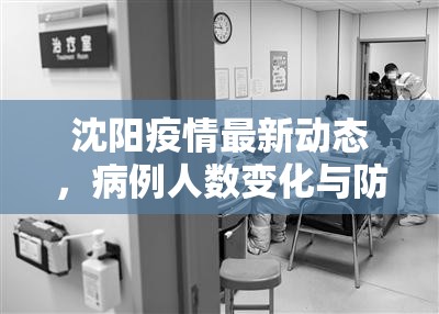 沈阳疫情最新动态,病例人数变化与防控措施解析