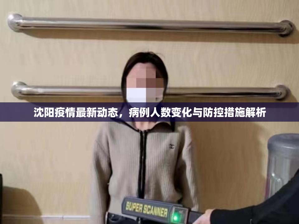 沈阳疫情最新动态，病例人数变化与防控措施解析