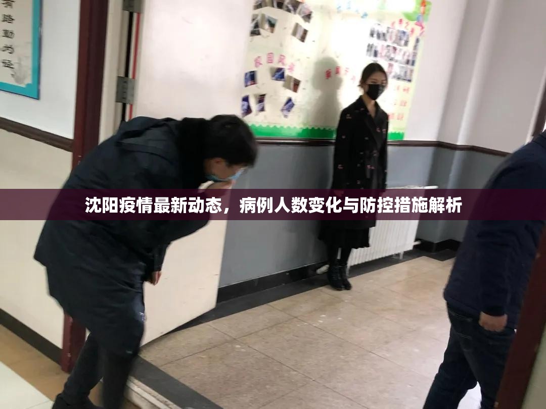 沈阳疫情最新动态，病例人数变化与防控措施解析