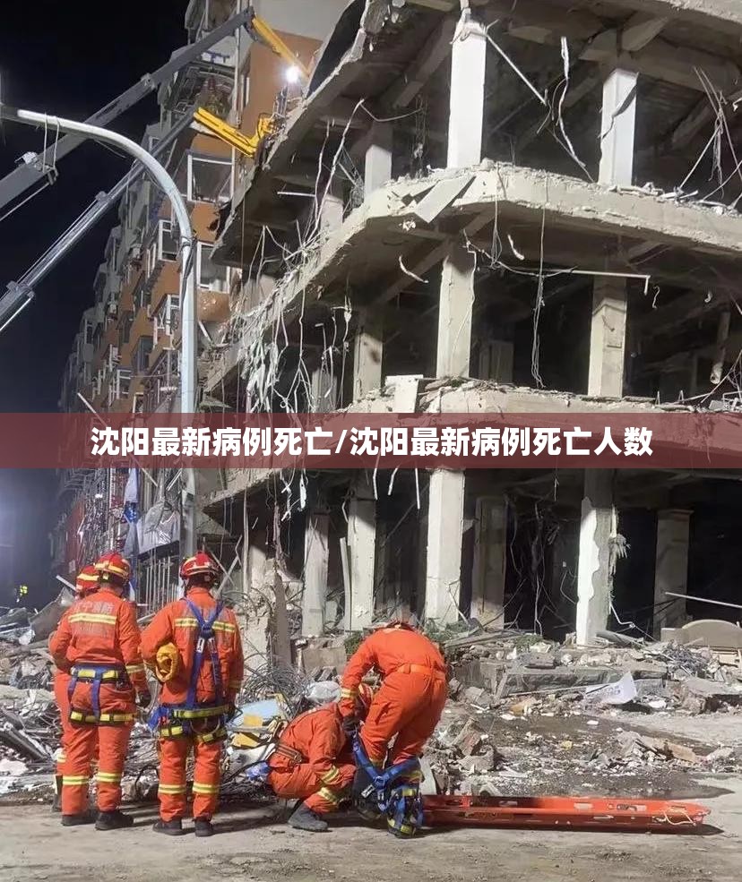 沈阳最新病例死亡/沈阳最新病例死亡人数