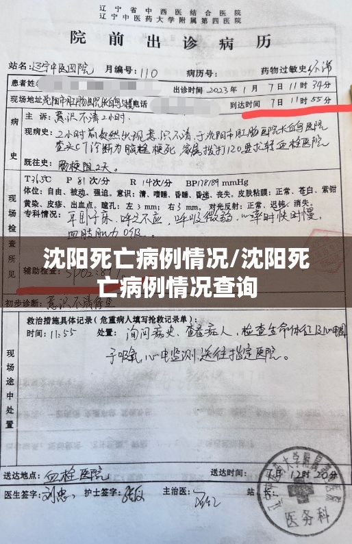 沈阳死亡病例情况/沈阳死亡病例情况查询