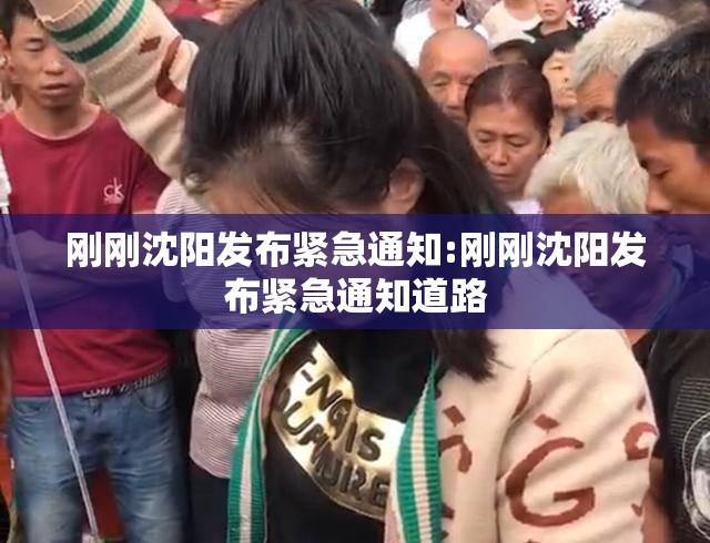 刚刚沈阳发布紧急通知:刚刚沈阳发布紧急通知道路
