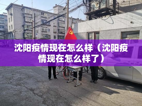 沈阳疫情现在怎么样（沈阳疫情现在怎么样了）