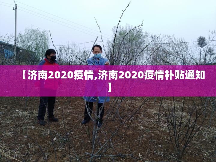 【济南2020疫情,济南2020疫情补贴通知】
