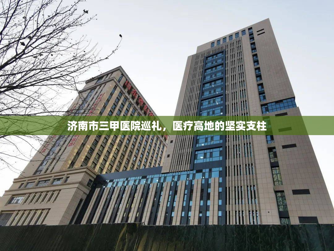 济南市三甲医院巡礼，医疗高地的坚实支柱