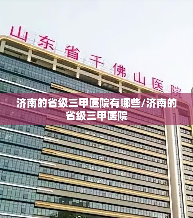 济南的省级三甲医院有哪些/济南的省级三甲医院