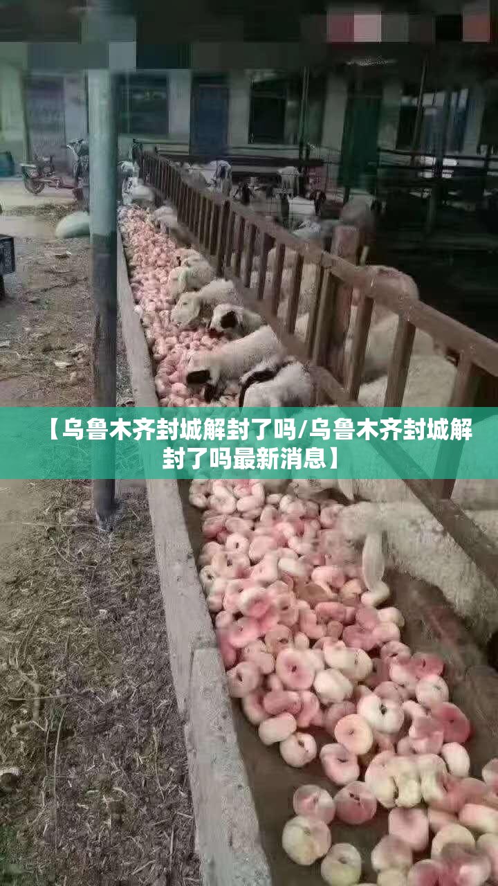 【乌鲁木齐封城解封了吗/乌鲁木齐封城解封了吗最新消息】