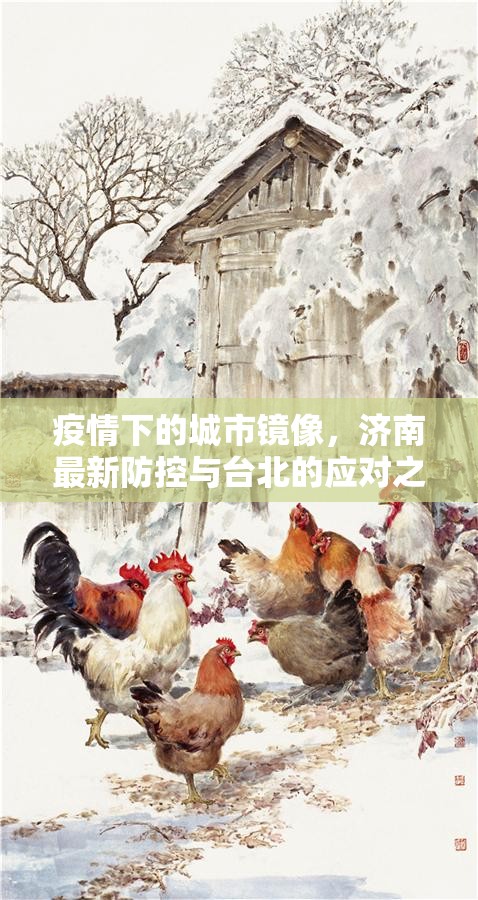 疫情下的城市镜像，济南最新防控与台北的应对之路